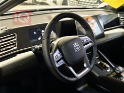 بي واي دي كوين L DM-i